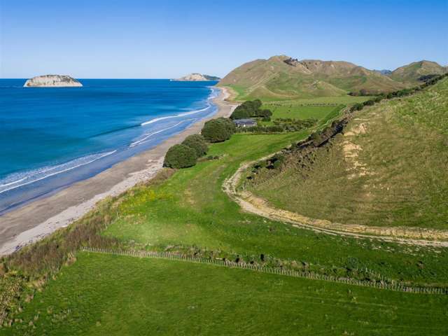 Waiapu Road Tolaga Bay_2