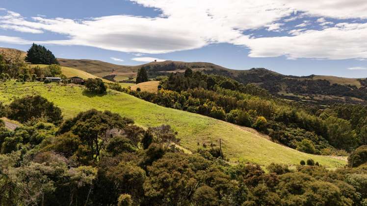 224 Wainui Valley Road Wainui_23