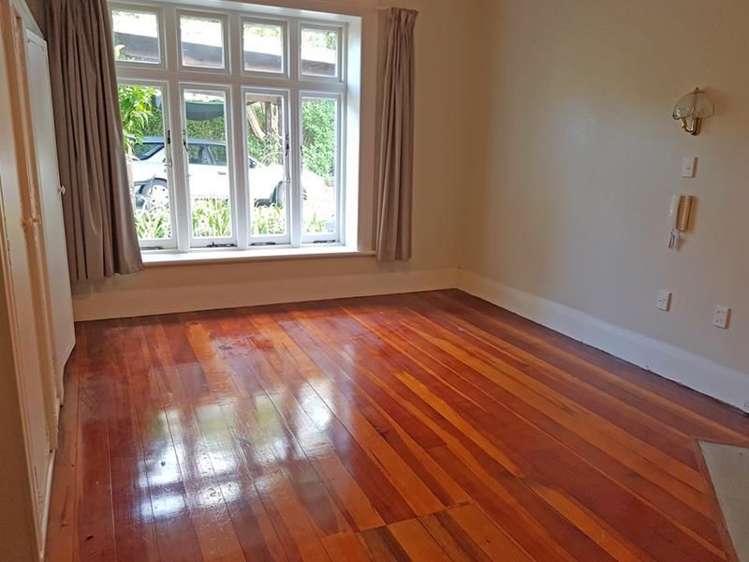 157 Campbell Road One Tree Hill_6