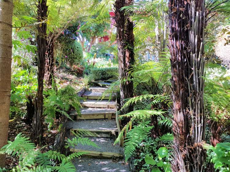 105 Marine Drive Diamond Harbour_11