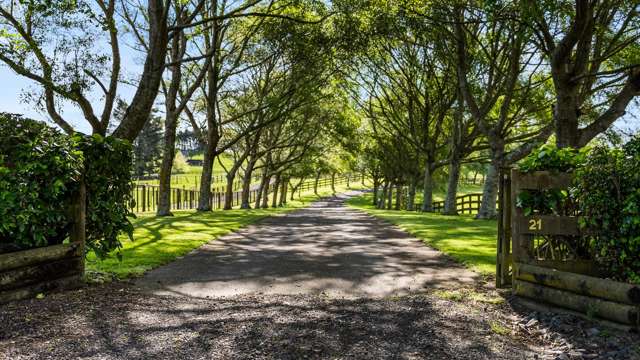 21 Whangapouri Road Karaka_2