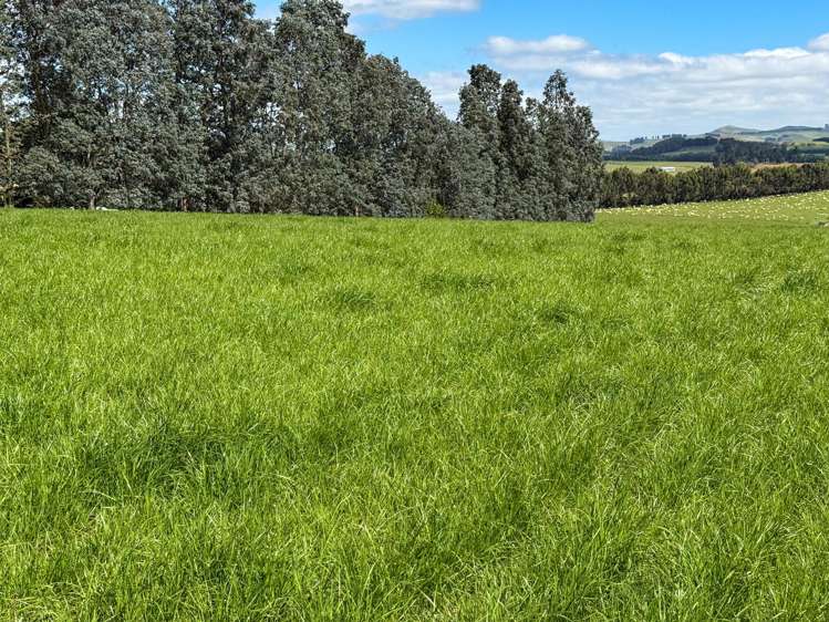 209 Quertier Road Kaiwera_6