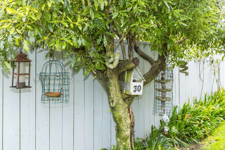 30 Talbot Grove Trentham_15