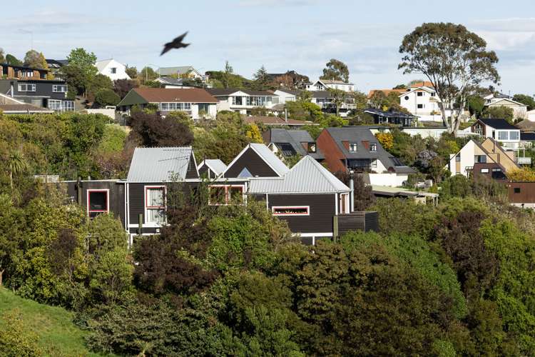 135 Kidson Terrace Cashmere_20