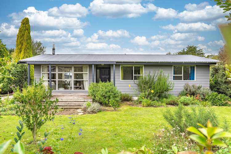 115 East Street Greytown_22