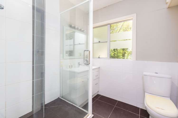 22a Rossmore Terrace Cashmere_12