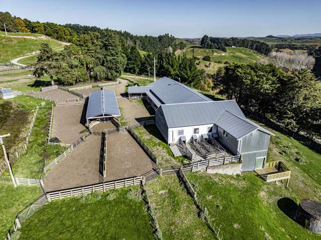 Mananui Station Ormondville_4