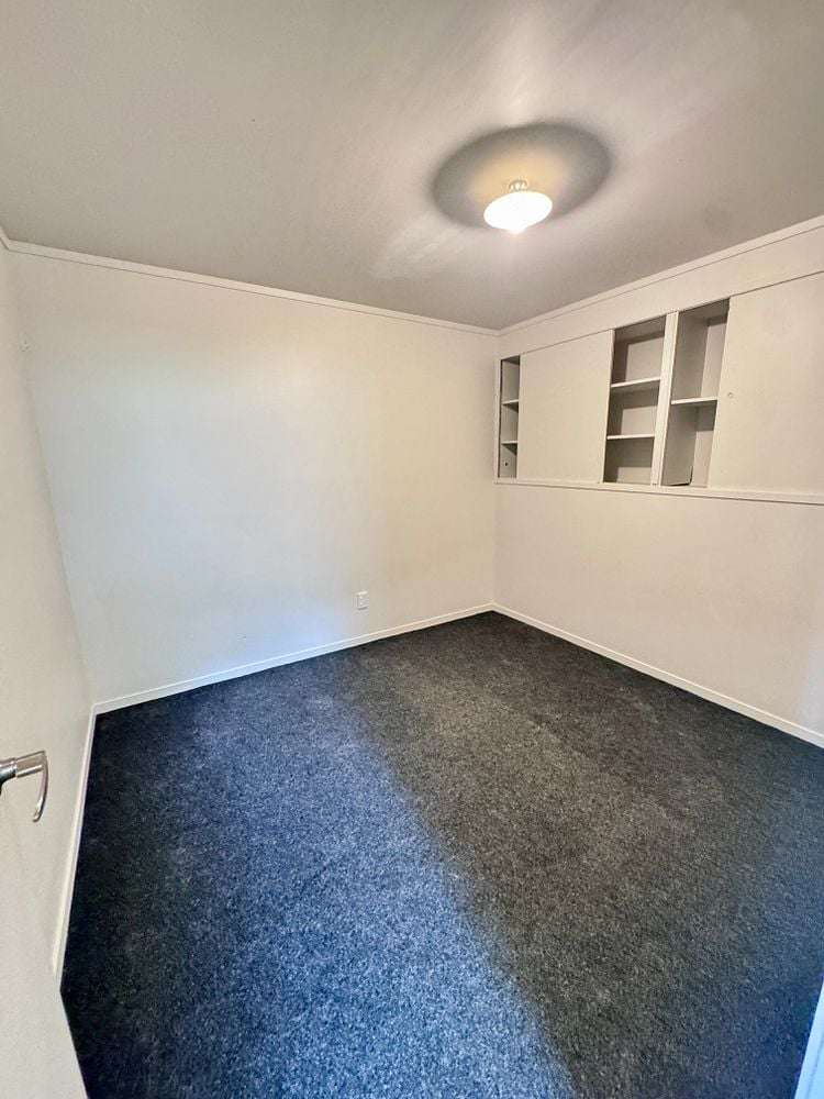 51 Carr Street Te Kamo_15