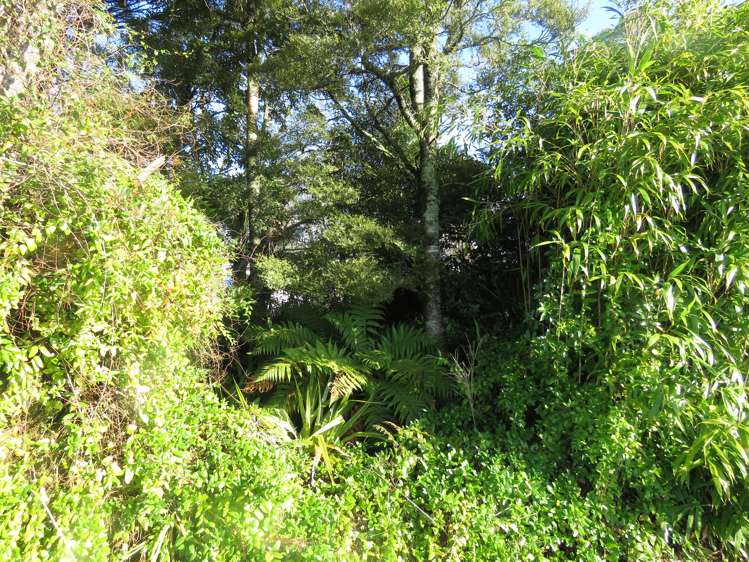 40 Boatmans Road Reefton_19