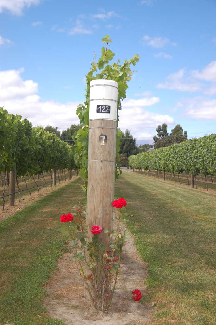 24 Gee Street Renwick_8