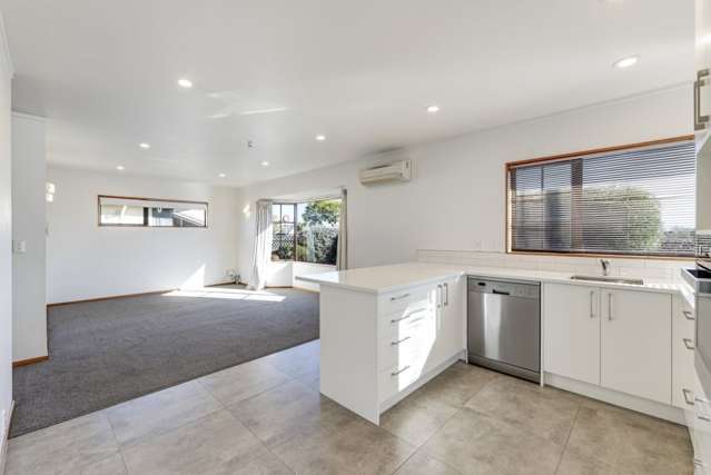 389 Nayland Road Stoke_1