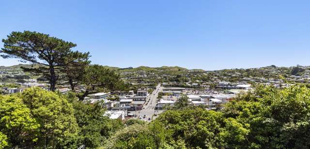 22 Sheridan Terrace Johnsonville_2