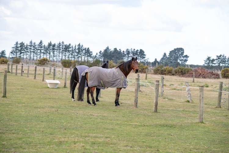 260 Hororata Road Hororata_25