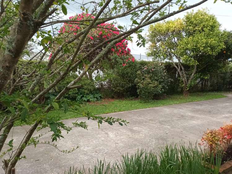 23 East Street Greytown_20