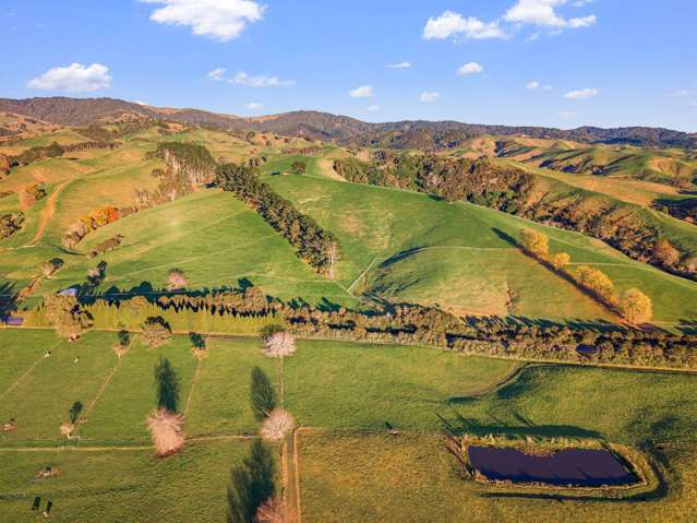 556 State Highway 27 Lot 2 Kaihere_1