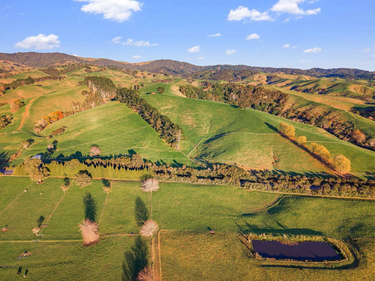 556 State Highway 27 Lot 2 Kaihere_1