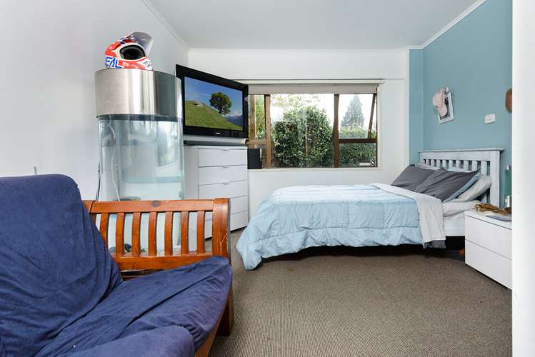 44 Lee Street Te Puke_9