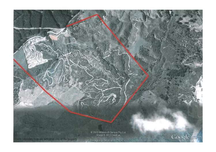 115 Mcdonald Mine Road Huntly_45