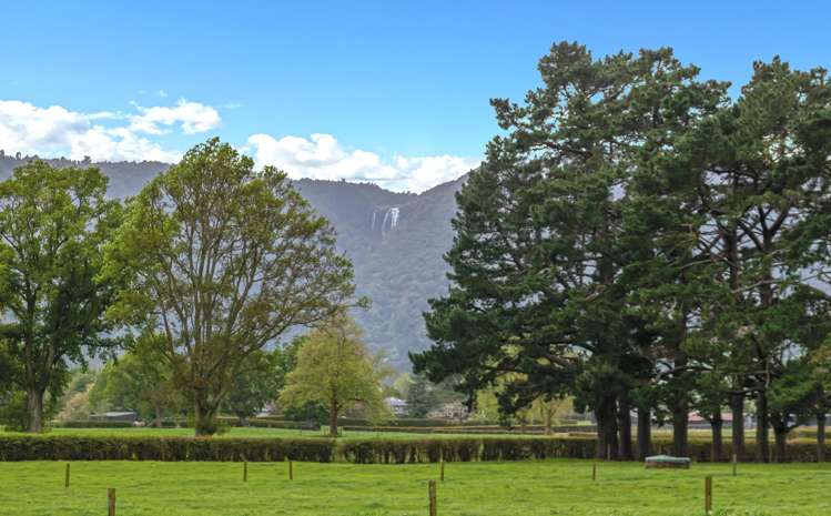 696a Tower Road Matamata_20