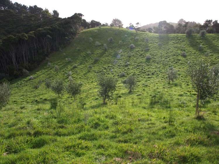 379a Cowes Bay Road Waiheke Island_12