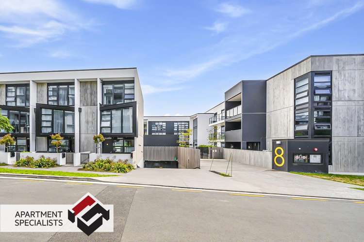 8 Kingsland Terrace Kingsland_23