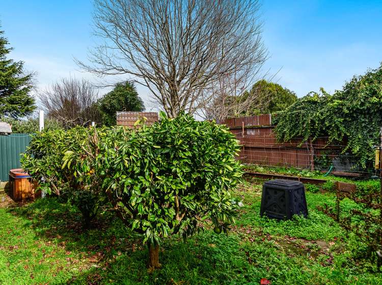 1 Tudor Place Koutu_12