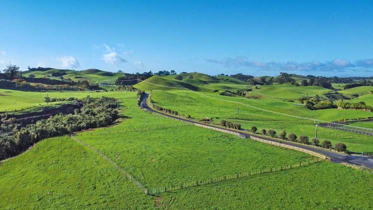 Lot 3 / 151 Pheney Road Omata_6
