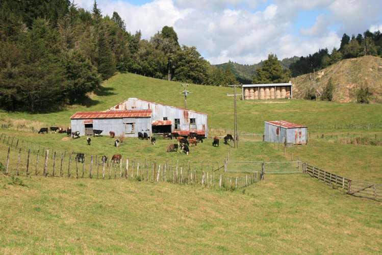 698 Mangaoapa Road Matau_12