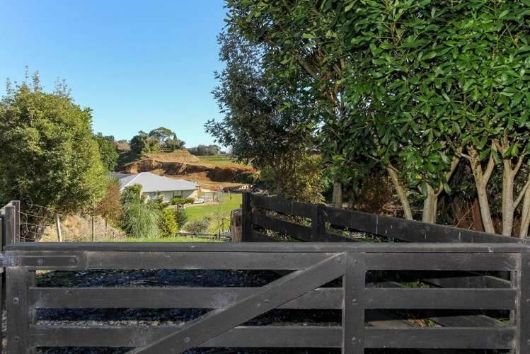 61c Karamea Street Whalers Gate_3