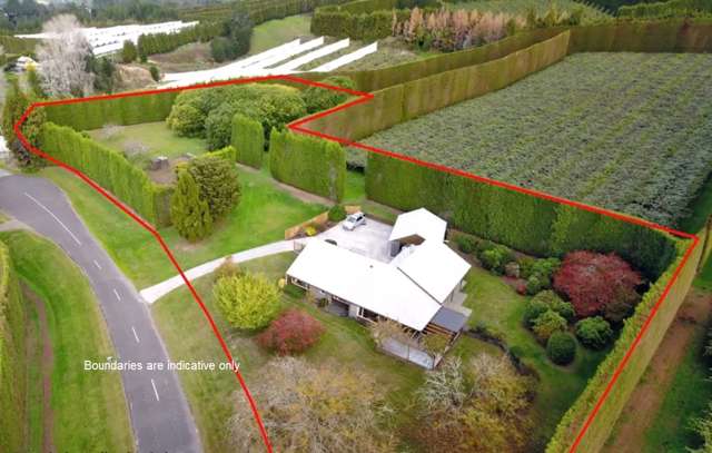 76 Oak Drive Te Puke_2