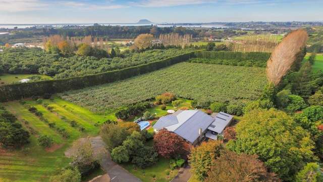 112 Te Puna Road Te Puna_4
