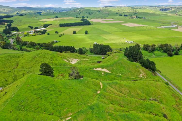 Thompsons Road Pahiatua_9