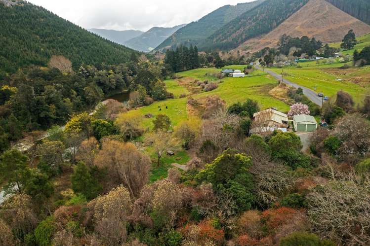 420 Wakamarina Road Canvastown_29