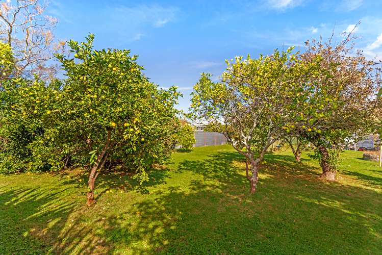 18 Daphne Street Outer Kaiti_17