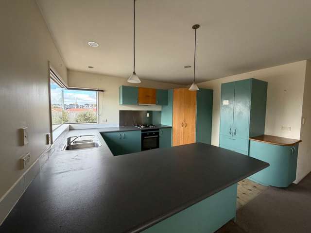 72A Arawa Street New Lynn_2