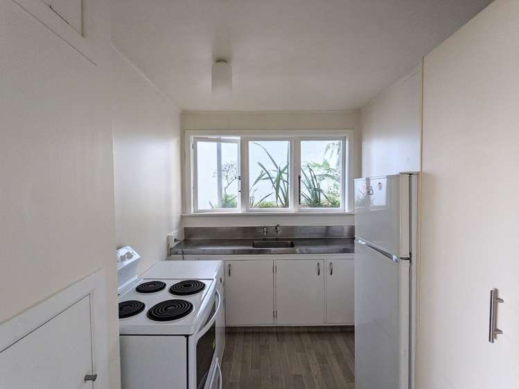 3A Asquith Terrace Brooklyn Wellington City Houses for Rent OneRoof