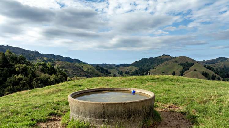2140 State Highway 2, Nukuhou North Whakatane_8