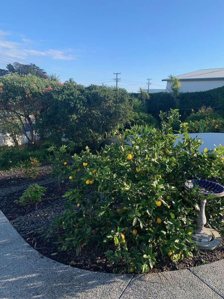 7a Tindalls Bay Road Tindalls Beach_15