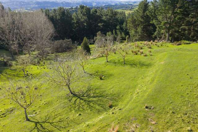 No 1 Line Pohangina_4