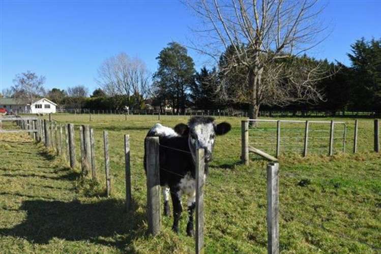 48 Donalds Road Upper Plain_26