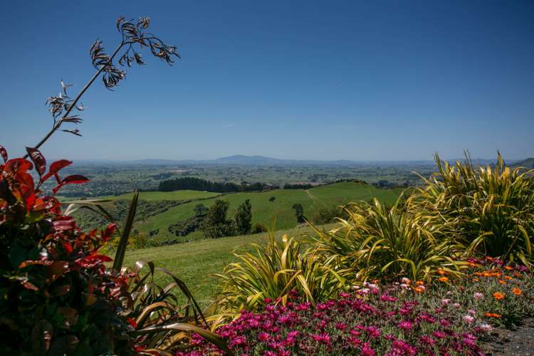 1/407 Sainsbury Road Pirongia_18