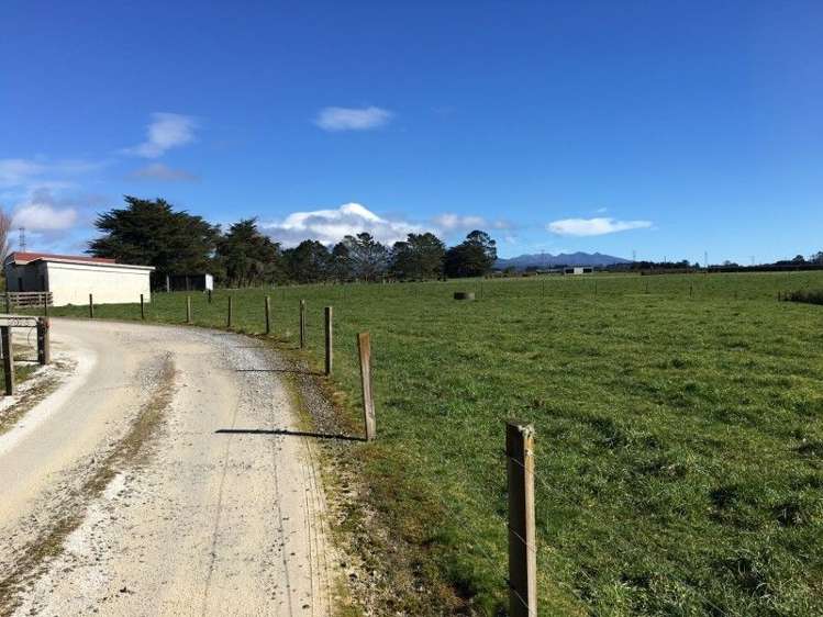 3280 Mountain Road Midhirst_3