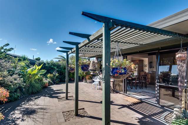 37 Anderson Road Taradale_2