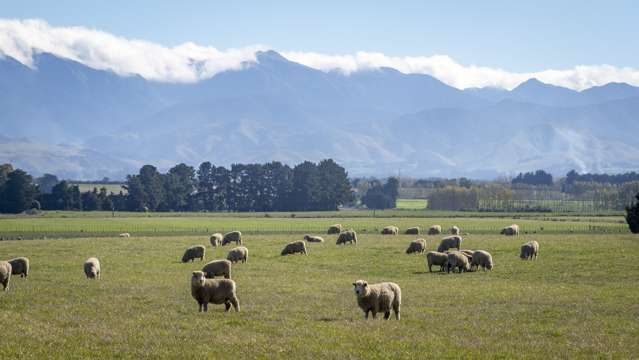 593 East Taratahi Road East Taratahi_3