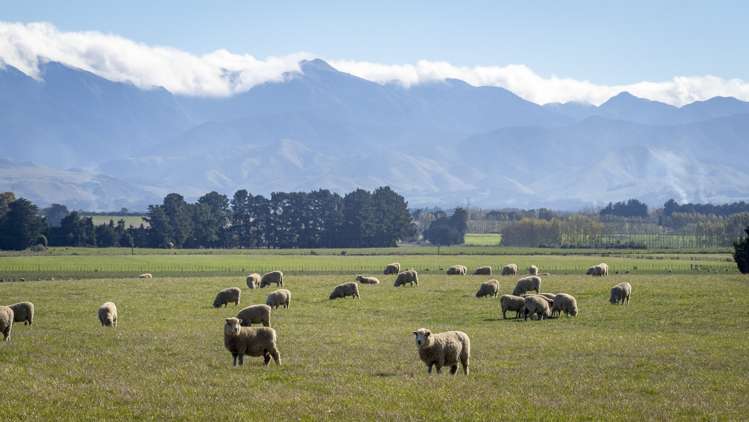 593 East Taratahi Road East Taratahi_2