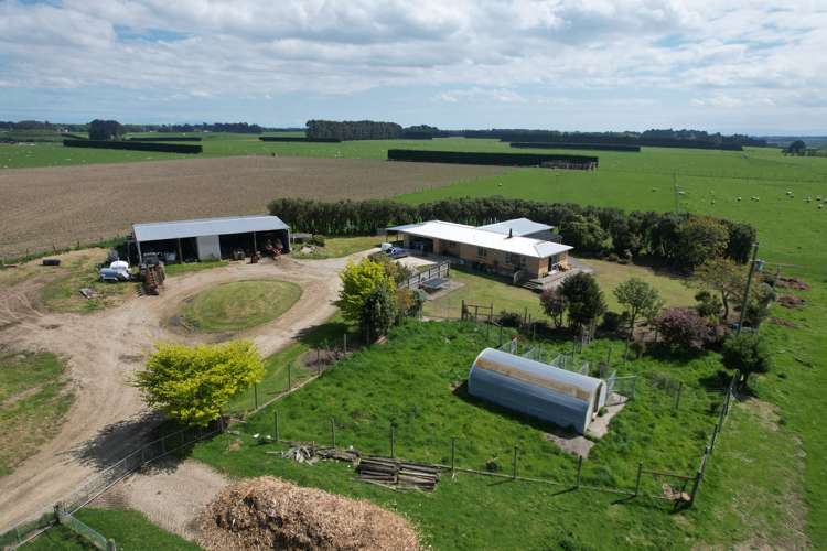 653 Grove Bush Woodlands Road Winton Surrounds_18