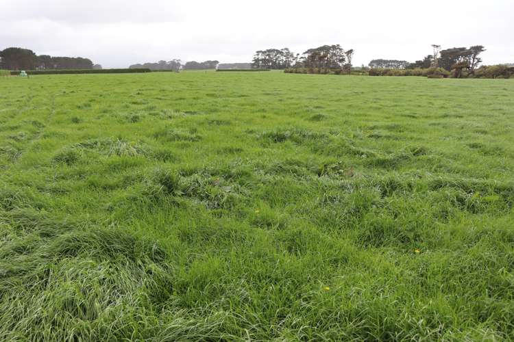 939 Auroa Road Auroa_15