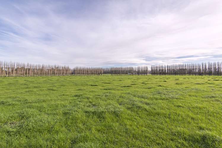 10 Jelfs Road Woodend_7