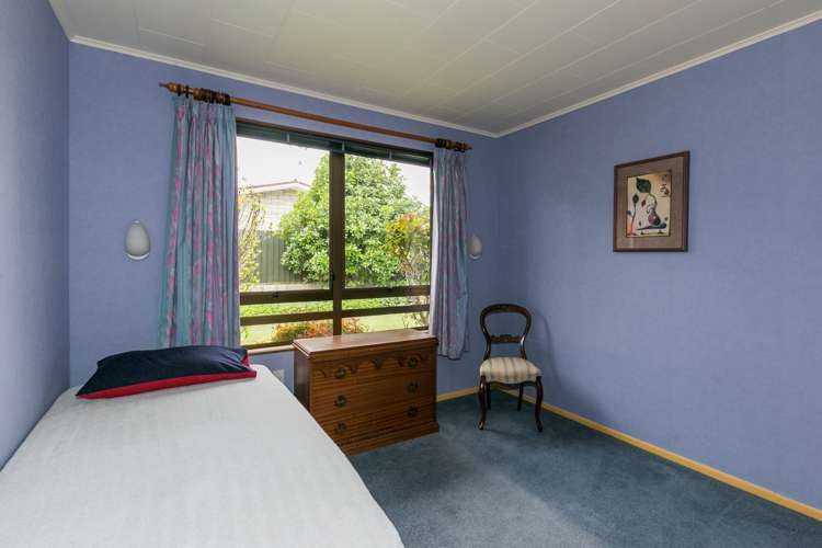 92 Freyberg Avenue Tamatea_10