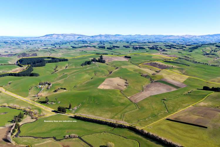 565 Bushy Park Road Waikaka_22